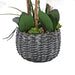 27.95" H Phalaenopsis Orchids Floral Arrangement in Bamboo Woven Pot - HomeBeyond