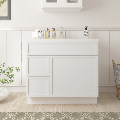 36" Birch Plywood Freestanding Single Base Storage Cabinet, With Soft Close Door - HomeBeyond