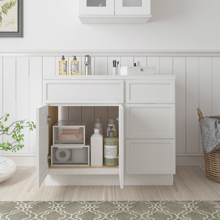39" Plywood Bathroom Vanity Cabinet without Top - 3 Drawers & 1 Door - HomeBeyond
