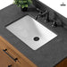 42" Bathroom Vanity with Sink and Top, With Soft Closing Doors - HomeBeyond