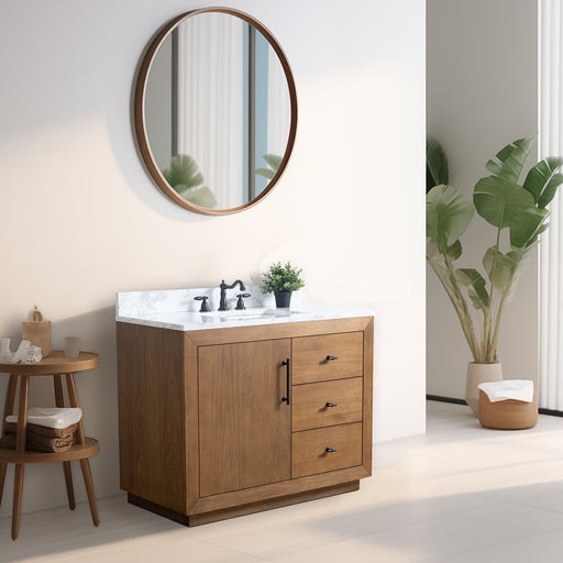 42" Bathroom Vanity with Sink and Top, With Soft Closing Doors - HomeBeyond