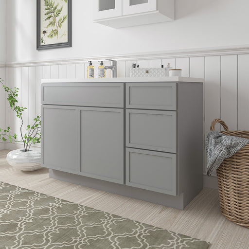 45" Plywood Bathroom Vanity Cabinet without Top - 3 Drawers & 1 Door - HomeBeyond