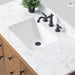 48" Bathroom Vanity with Sink and Top, With Soft Closing Doors - HomeBeyond