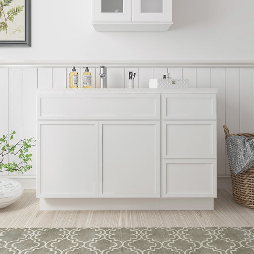 48" Plywood Bathroom Vanity Cabinet without Top - 3 Drawers & 1 Door - HomeBeyond