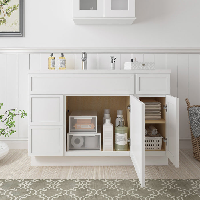 48" Plywood Bathroom Vanity Cabinet without Top - 3 Drawers & 2 Doors - HomeBeyond