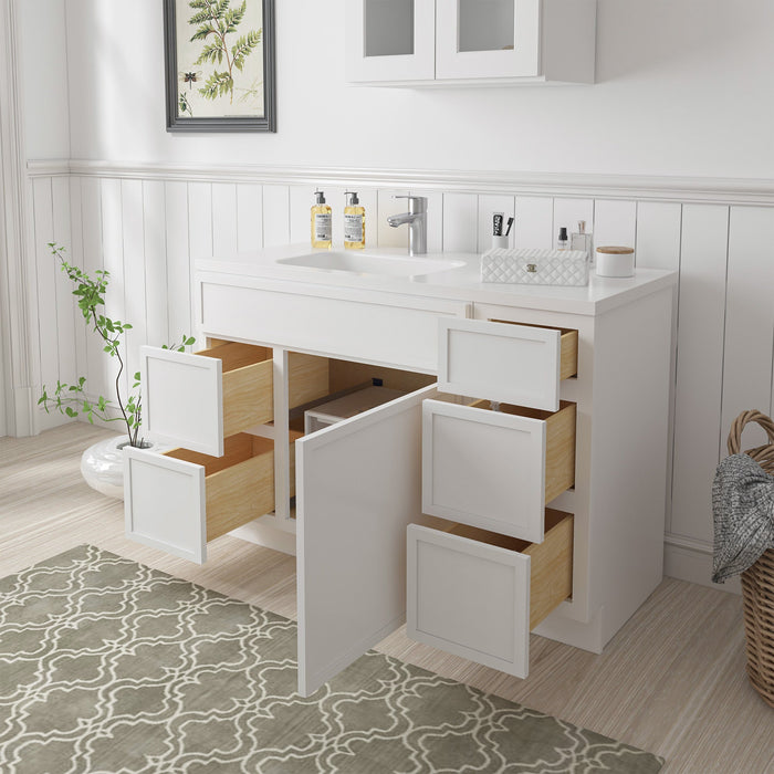 48" Plywood Bathroom Vanity Cabinet without Top - 5 Drawers & 1 Door - HomeBeyond