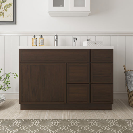 48" Plywood Bathroom Vanity Cabinet without Top - 5 Drawers & 1 Door - HomeBeyond