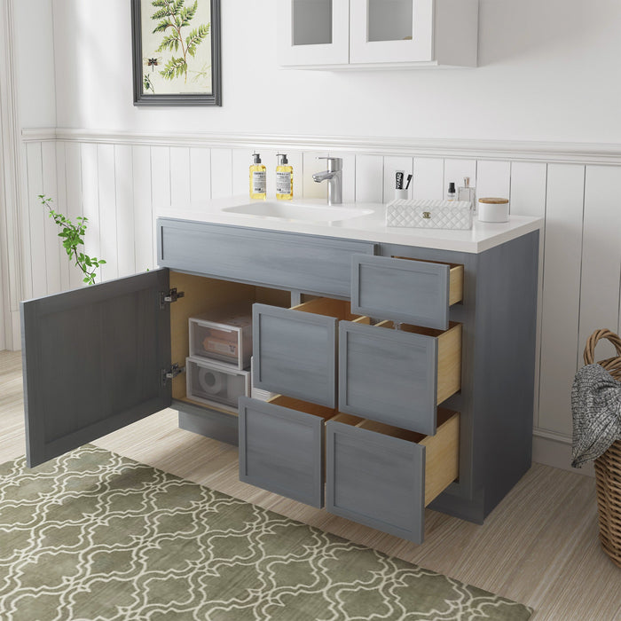 48" Plywood Bathroom Vanity Cabinet without Top - 5 Drawers & 1 Door - HomeBeyond