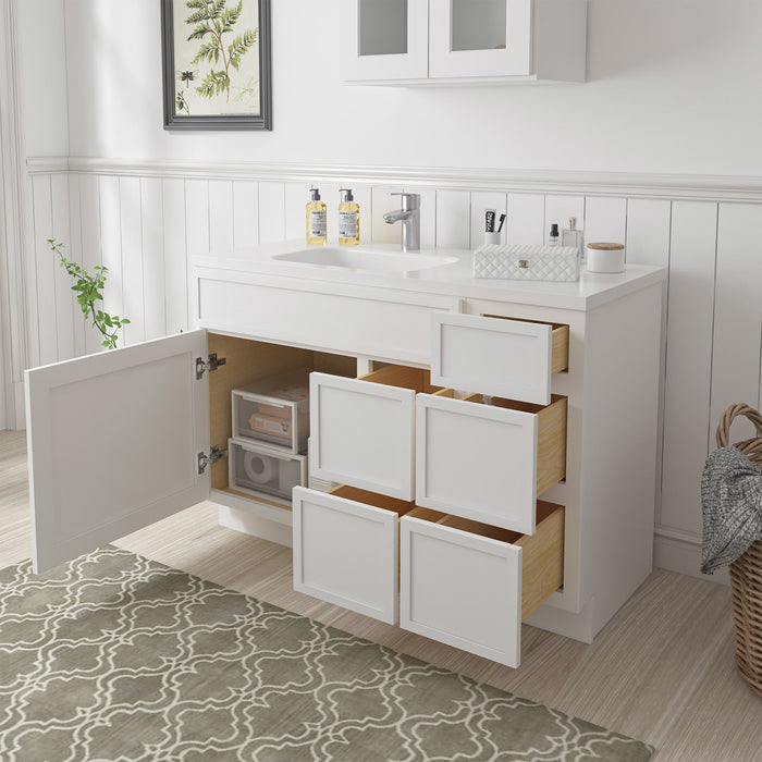 48" Plywood Bathroom Vanity Cabinet without Top - 5 Drawers & 1 Door - HomeBeyond