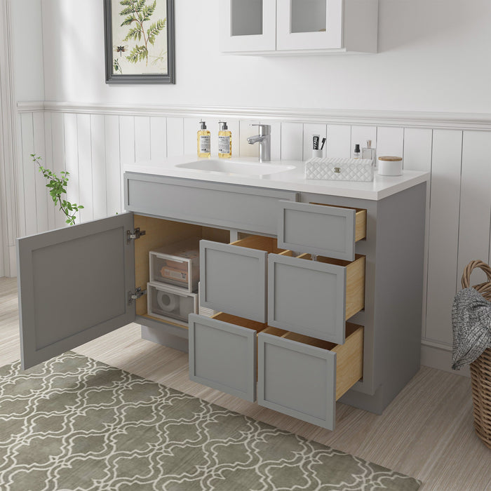 48" Plywood Bathroom Vanity Cabinet without Top - 5 Drawers & 1 Door - HomeBeyond
