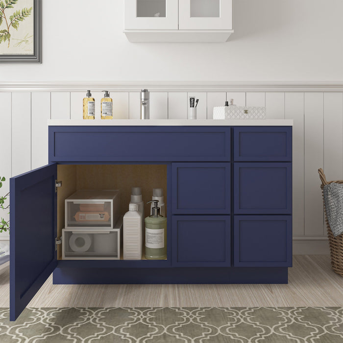48" Plywood Bathroom Vanity Cabinet without Top - 5 Drawers & 1 Door - HomeBeyond