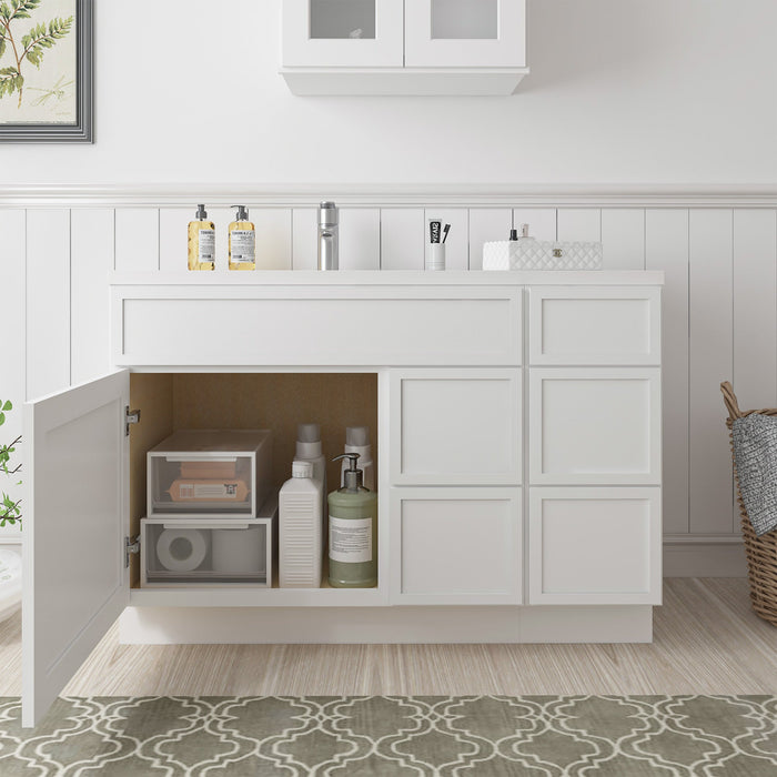 48" Plywood Bathroom Vanity Cabinet without Top - 5 Drawers & 1 Door - HomeBeyond