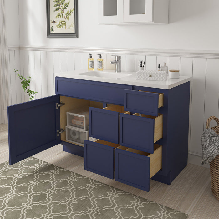 48" Plywood Bathroom Vanity Cabinet without Top - 5 Drawers & 1 Door - HomeBeyond