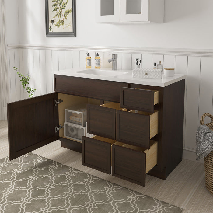 48" Plywood Bathroom Vanity Cabinet without Top - 5 Drawers & 1 Door - HomeBeyond