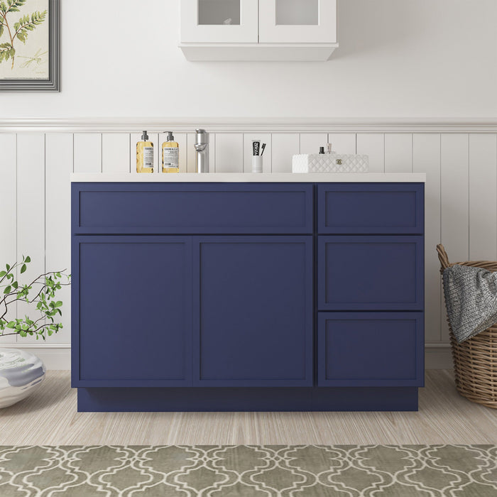 51" Plywood Bathroom Vanity Cabinet without Top - 3 Drawers & 1 Door - HomeBeyond