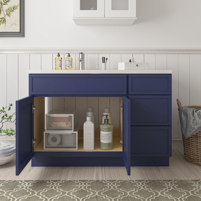 51" Plywood Bathroom Vanity Cabinet without Top - 3 Drawers & 1 Door - HomeBeyond