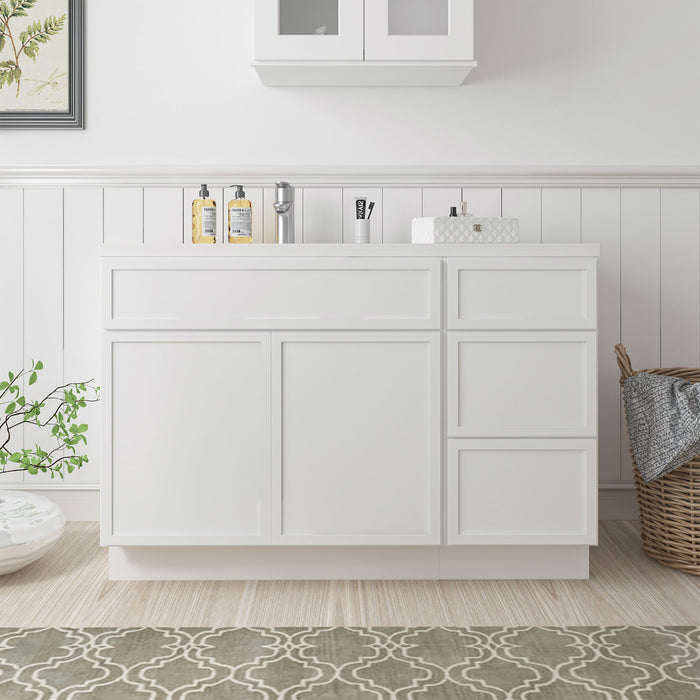 51" Plywood Bathroom Vanity Cabinet without Top - 3 Drawers & 1 Door - HomeBeyond
