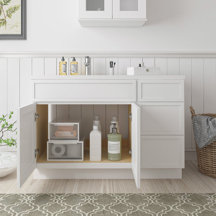 51" Plywood Bathroom Vanity Cabinet without Top - 3 Drawers & 1 Door - HomeBeyond
