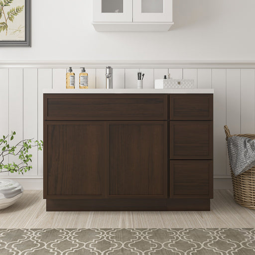 51" Plywood Bathroom Vanity Cabinet without Top - 3 Drawers & 2 Doors - HomeBeyond