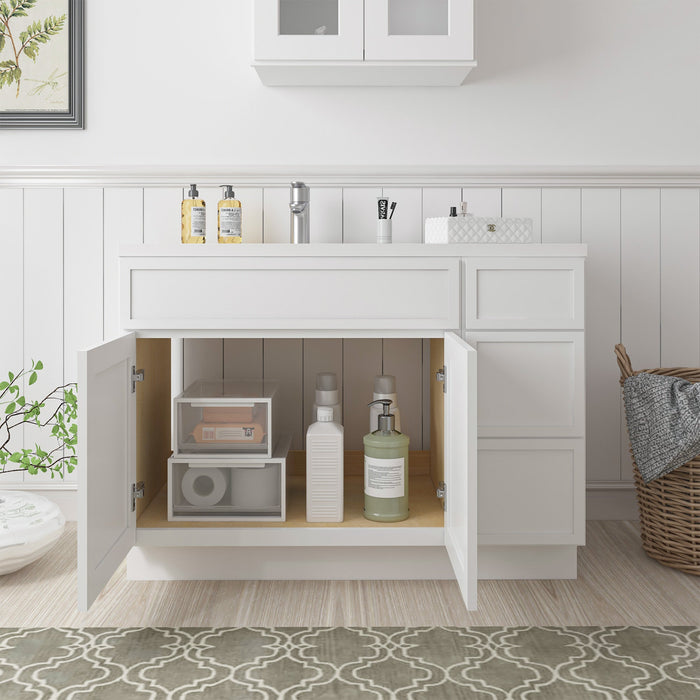 51" Plywood Bathroom Vanity Cabinet without Top - 3 Drawers & 2 Doors - HomeBeyond