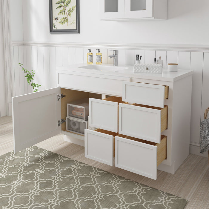 51" Plywood Bathroom Vanity Cabinet without Top - 5 Drawers & 1 Door - HomeBeyond