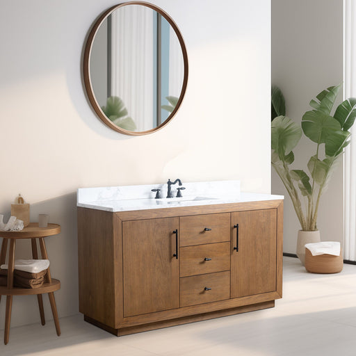 60" Single Sink Bathroom Vanity with Sink and Top, With Soft Closing Doors - HomeBeyond