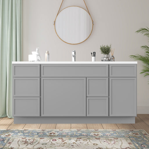 66 inch light gray bathroom vanity cabinet front view with shaker doors and 6 drawers in styled bathroom