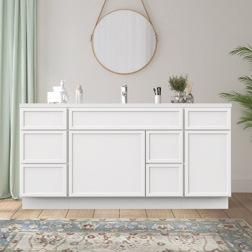 66" Plywood Bathroom Vanity Cabinet without Top - 6 Drawers & 2 Doors - HomeBeyond
