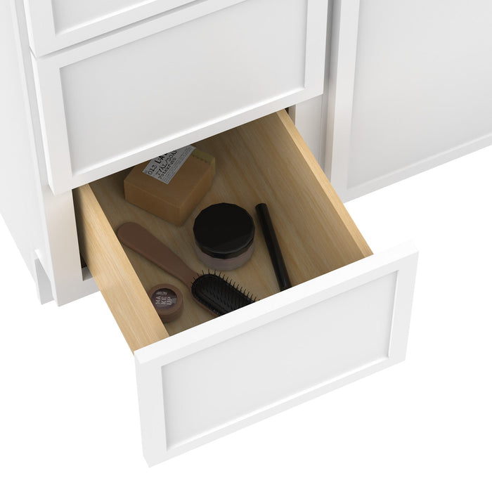 66" Plywood Bathroom Vanity Cabinet without Top - 6 Drawers & 2 Doors - HomeBeyond