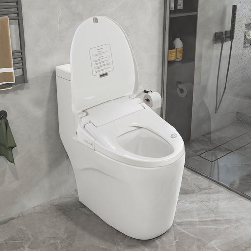 Vanity Art Smart Heated Bidet Toilet Seat with Remote Control - HomeBeyond