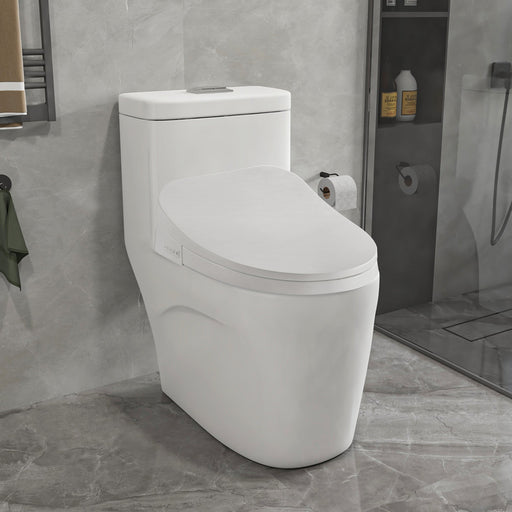 Vanity Art Smart Heated Bidet Toilet Seat with Remote Control - HomeBeyond