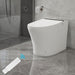 Vanity Art Smart Toilet with Elongated Heat Seat, Warm Water, Air Dry, Moving Cleanse - HomeBeyond