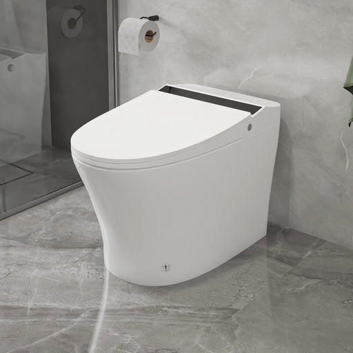Vanity Art Smart Toilet with Elongated Heat Seat, Warm Water, Air Dry, Moving Cleanse - HomeBeyond