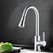 Single Handle High Arc Chrome Pull Out Kitchen Faucet - HomeBeyond