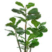Vanity Art 47.24-inches Artificial Fiddle Leaf Fig Plant in Pot | Stems Real Touch Artificial Faux Trees Indoor Plants for Living Room, Office, Entryway Table Decorations, MLTGP-1055GR, (Set of 2) - HomeBeyond