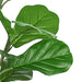 Vanity Art 82.68-inches Artificial Fiddle Leaf Fig Plant in Pot | Stems Real Touch Artificial Faux Trees Indoor Plants for Living Room, Entryway Table Decorations, MLTGP-1059GR, (Set of 2) - HomeBeyond