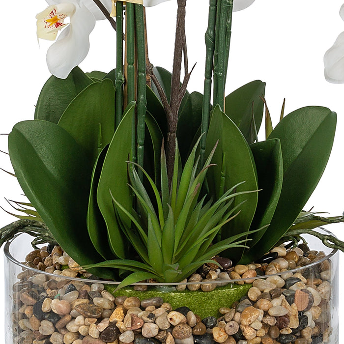 Vanity Art Artificial Phalaenopsis Orchids Floral Arrangement in Glass Vase | 9 Stems 29.13" Real Touch Artificial Silk Orchids in Glass Pot for Home Office Decoration, MLTAO-1055TM - HomeBeyond