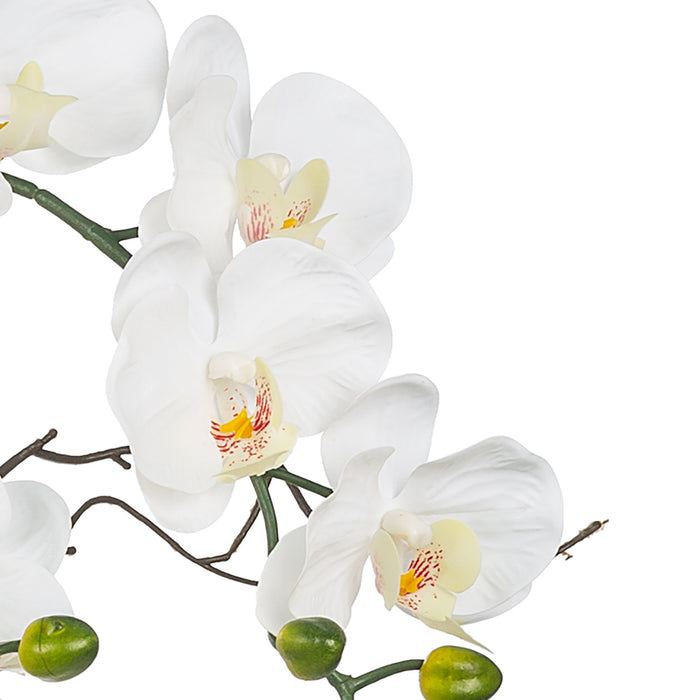 Vanity Art Artificial Phalaenopsis Orchids Floral Arrangement in Glass Vase | 9 Stems 29.13" Real Touch Artificial Silk Orchids in Glass Pot for Home Office Decoration, MLTAO-1055TM - HomeBeyond
