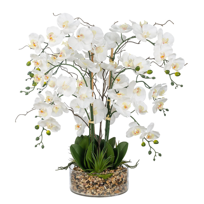Vanity Art Artificial Phalaenopsis Orchids Floral Arrangement in Glass Vase | 9 Stems 29.13" Real Touch Artificial Silk Orchids in Glass Pot for Home Office Decoration, MLTAO-1055TM - HomeBeyond