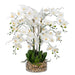 Vanity Art Artificial Phalaenopsis Orchids Floral Arrangement in Glass Vase | 9 Stems 29.13" Real Touch Artificial Silk Orchids in Glass Pot for Home Office Decoration, MLTAO-1055TM - HomeBeyond