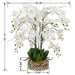 Vanity Art Artificial Phalaenopsis Orchids Floral Arrangement in Glass Vase | 9 Stems 29.13" Real Touch Artificial Silk Orchids in Glass Pot for Home Office Decoration, MLTAO-1055TM - HomeBeyond