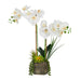Vanity Art Artificial Phalaenopsis Orchids with Succulents Floral Arrangement in Pot | 2 Stems Real Touch Artificial Flowers for Living Room, Entryway Table Decorations, MLTAO-1013SS - HomeBeyond