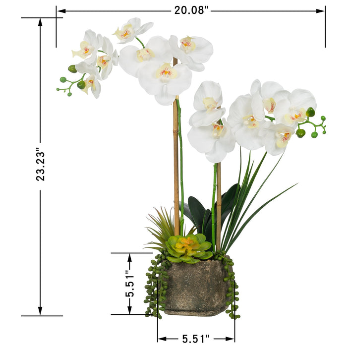 Vanity Art Artificial Phalaenopsis Orchids with Succulents Floral Arrangement in Pot | 2 Stems Real Touch Artificial Flowers for Living Room, Entryway Table Decorations, MLTAO-1013SS - HomeBeyond