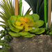 Vanity Art Artificial Phalaenopsis Orchids with Succulents Floral Arrangement in Pot | 2 Stems Real Touch Artificial Flowers for Living Room, Entryway Table Decorations, MLTAO-1013SS - HomeBeyond