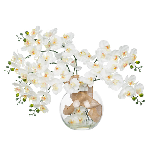 Vanity Art Liquid Illusion Phalaenopsis Orchid Floral Arrangement in Vase Home Decor | 8 Pieces Nearly Natural Plastic Phalaenopsis Silk Artificial Flowers in Glass Vase, MLTAO-1060TM - HomeBeyond