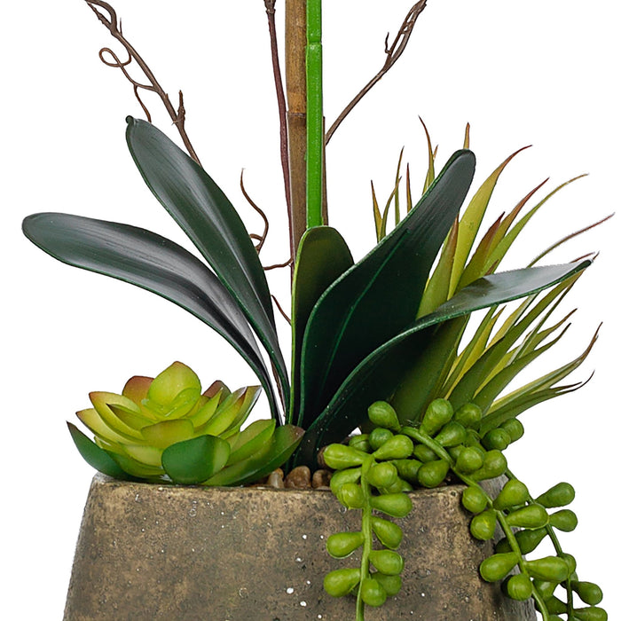 Vanity Art Phalaenopsis Orchid Floral Arrangement in Decorative Cement Pot | Single-stem Artificial Real Touch Silk Orchid home decor with Succulents in Grey Cement Pot, MLTAO-1007SS - HomeBeyond