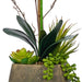 Vanity Art Phalaenopsis Orchid Floral Arrangement in Decorative Cement Pot | Single-stem Artificial Real Touch Silk Orchid home decor with Succulents in Grey Cement Pot, MLTAO-1007SS - HomeBeyond