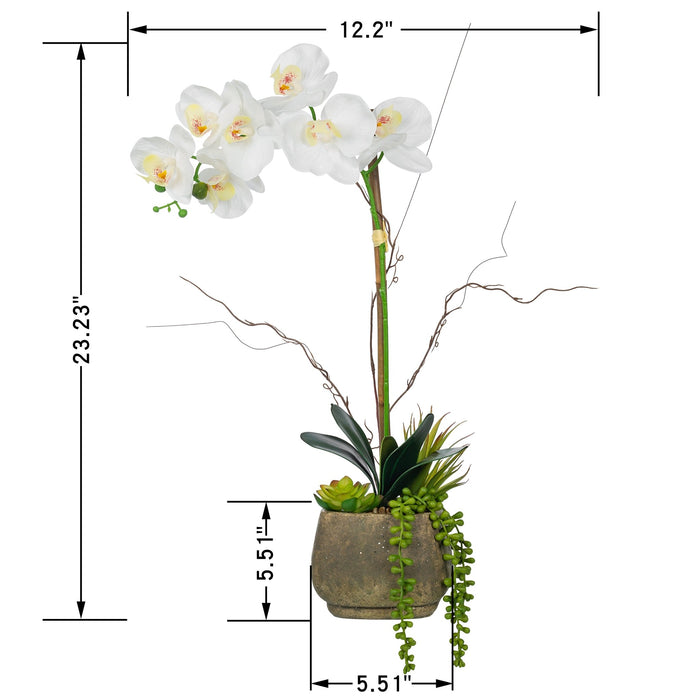 Vanity Art Phalaenopsis Orchid Floral Arrangement in Decorative Cement Pot | Single-stem Artificial Real Touch Silk Orchid home decor with Succulents in Grey Cement Pot, MLTAO-1007SS - HomeBeyond