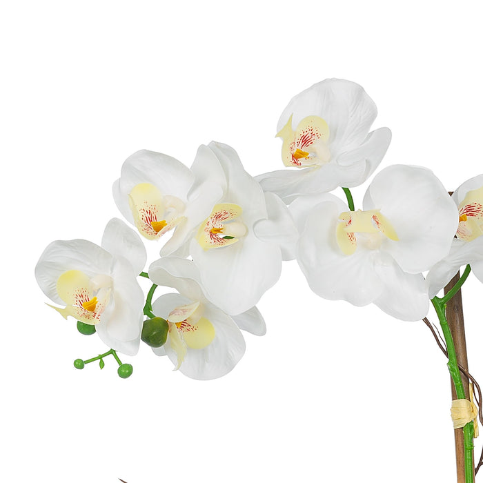 Vanity Art Phalaenopsis Orchid Floral Arrangement in Decorative Cement Pot | Single-stem Artificial Real Touch Silk Orchid home decor with Succulents in Grey Cement Pot, MLTAO-1007SS - HomeBeyond
