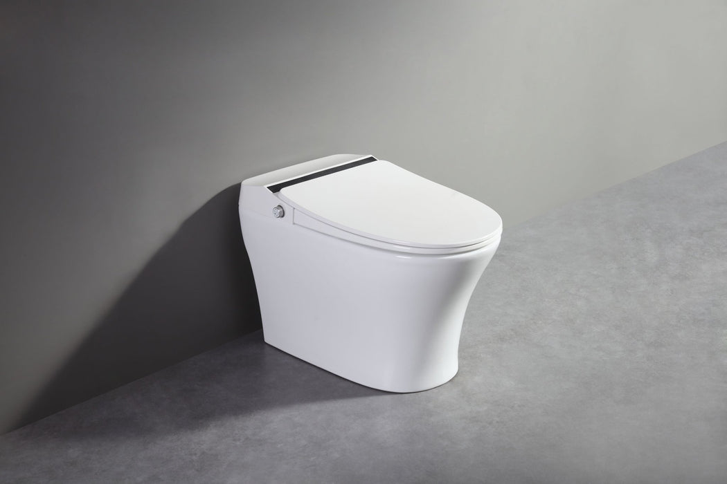 Vanity Art Smart Toilet with Elongated Heat Seat, Warm Water, Air Dry, Moving Cleanse - HomeBeyond